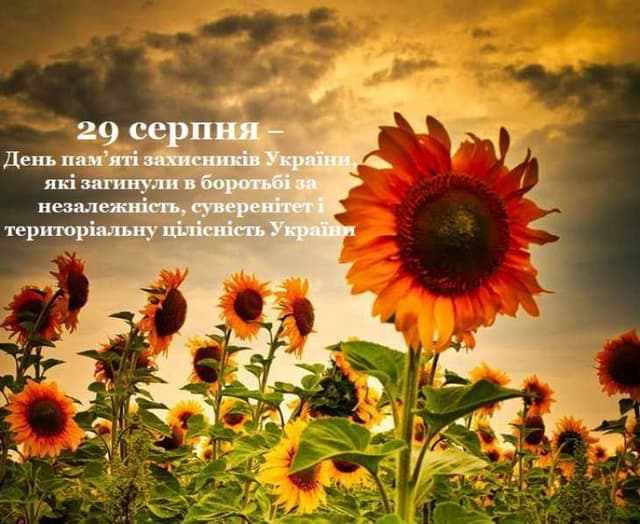 Зображення 12