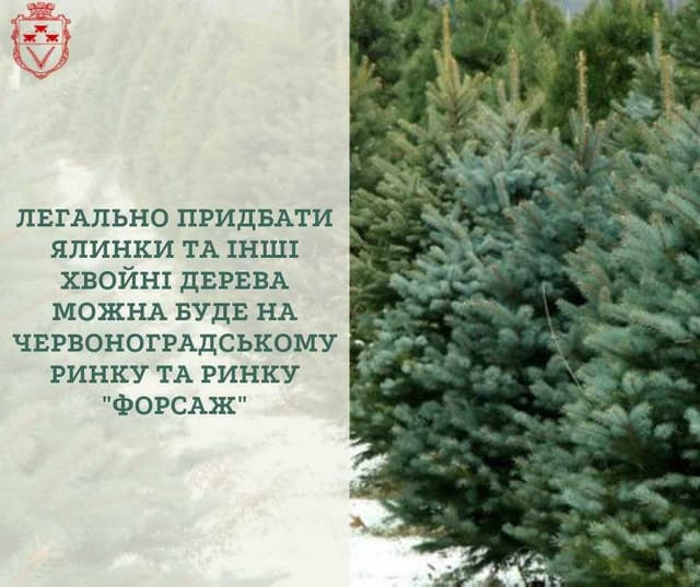 Зображення 11