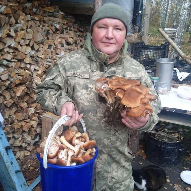 Зображення 9