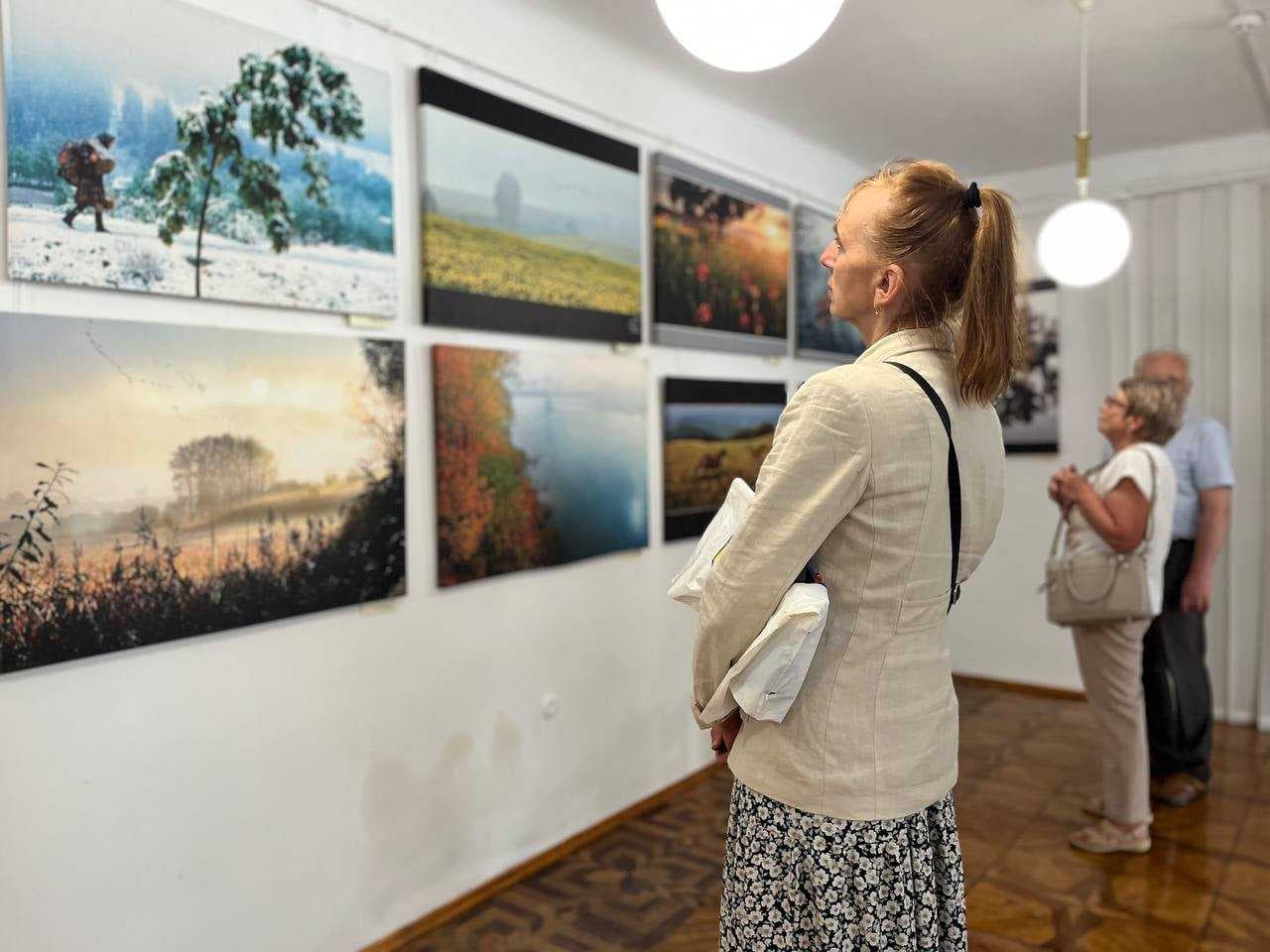 Gallery image 7