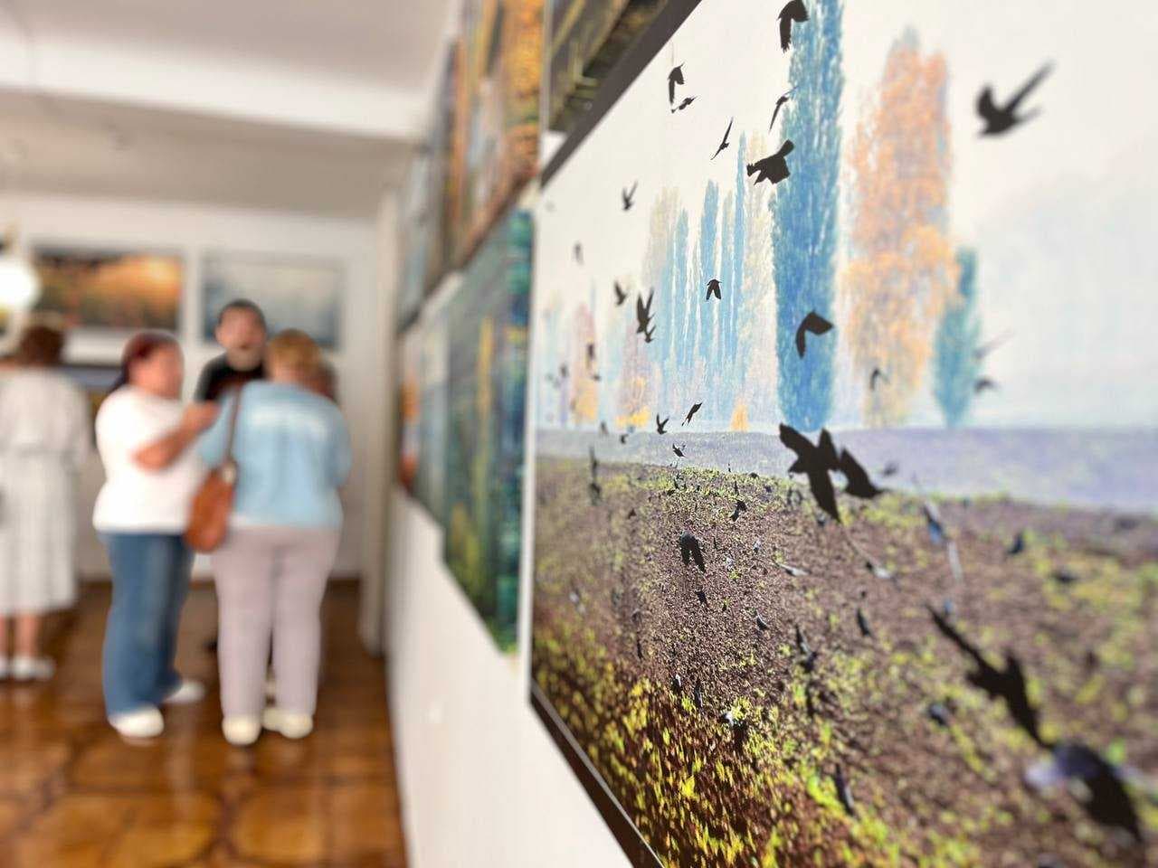 Gallery image 6
