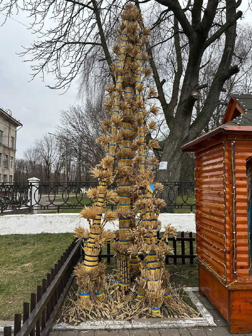 Gallery image 18