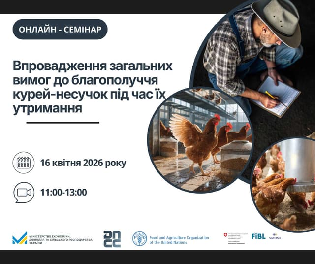 Зображення 10