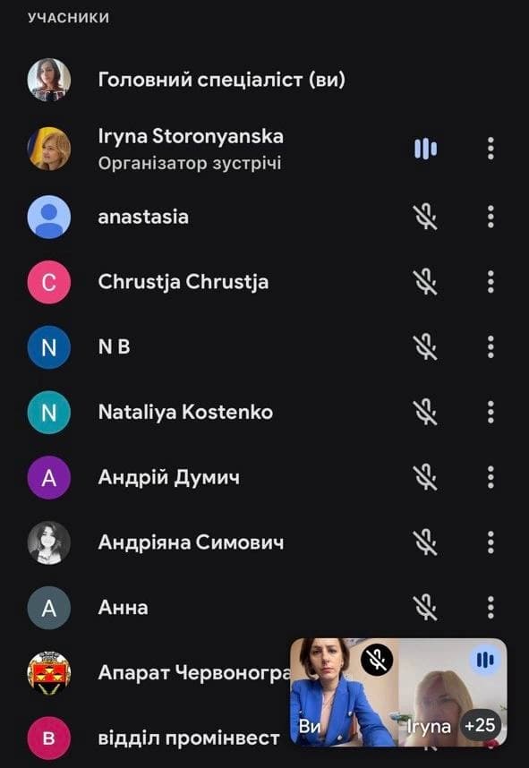 Скін екрану із зум-зустрічі