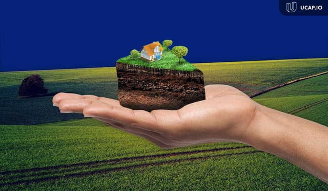 Зображення 11