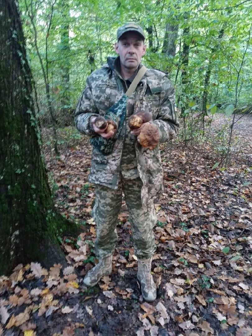 Зображення