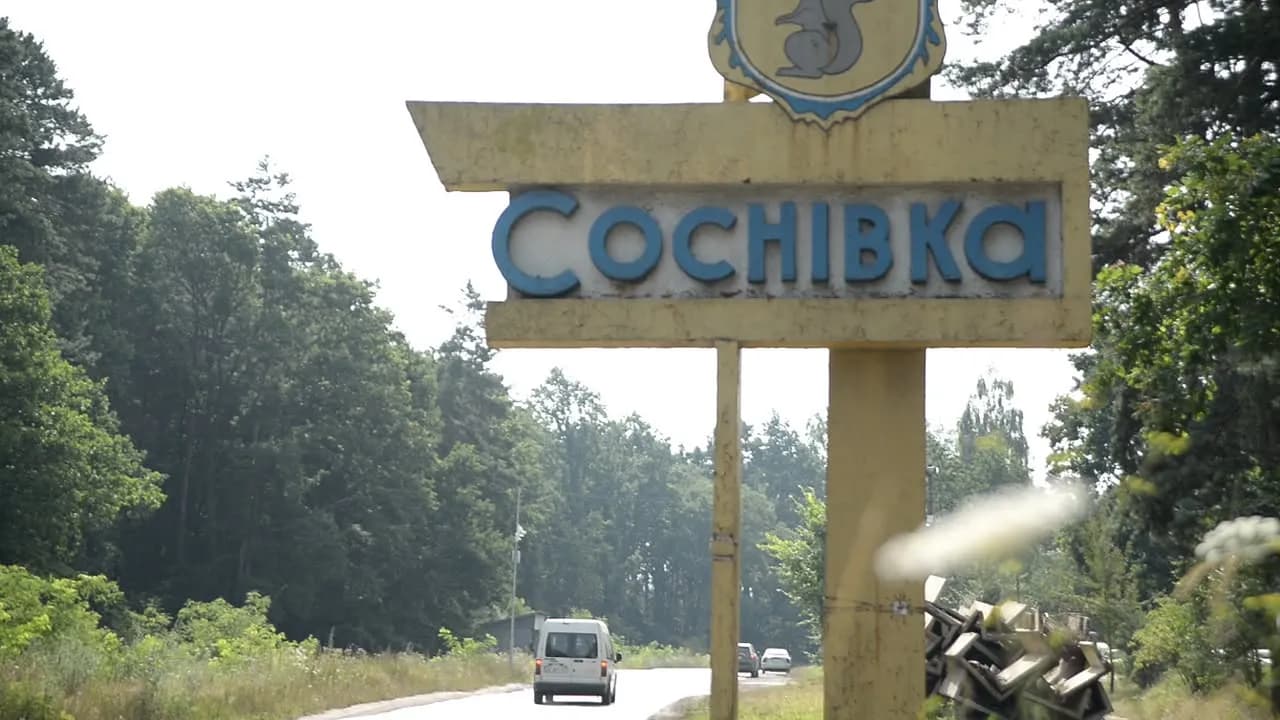 Знак на в'їзді до міста Соснівка