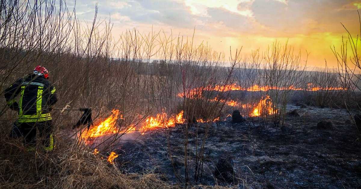 На території громади збільшились випадки пожеж, спричинених горінням сухої трави