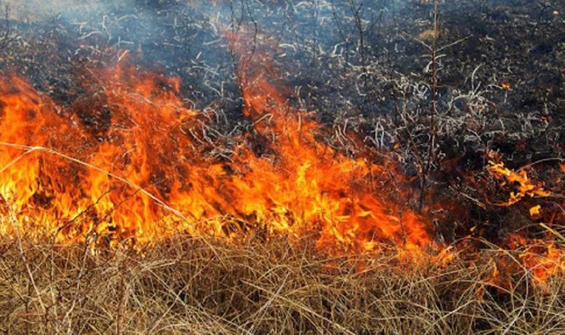 Рятувальники наголошують жителям про заборону спалювання сухої рослинності.