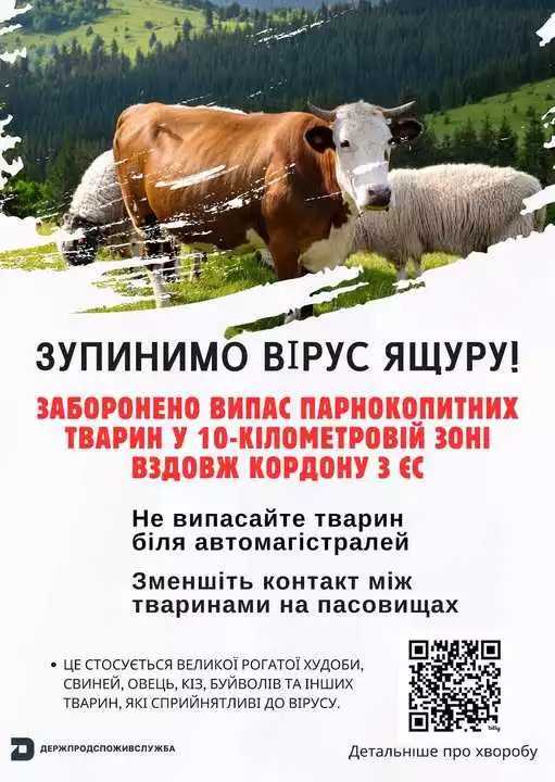 Поблизу України зафіксовано спалах небезпечного вірусу «ящур» – в західних областях посилено контроль