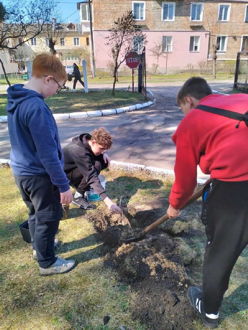 У Соснівській гімназії №7 висадили дерева на честь захисників