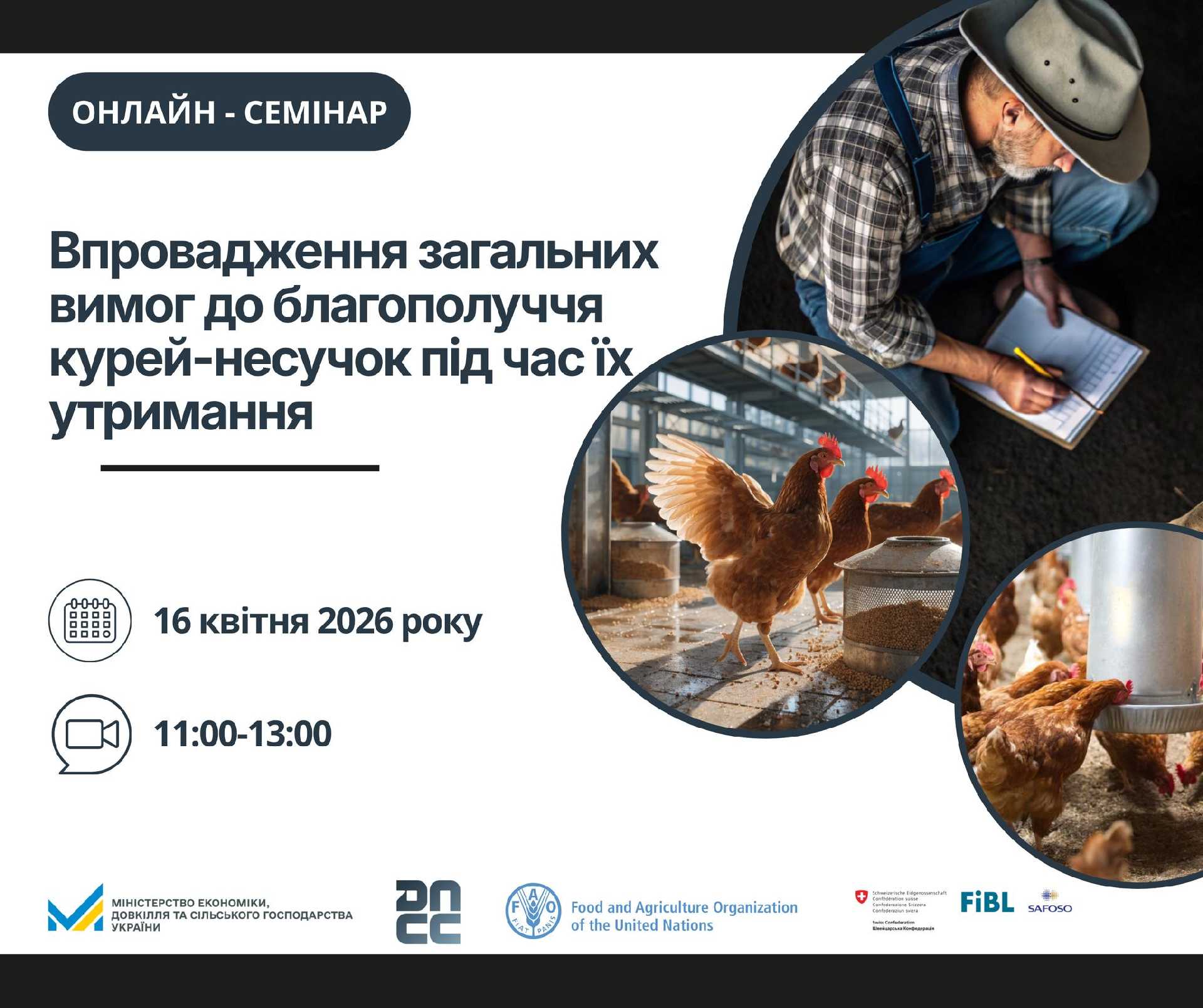 З 1 січня 2026 року в Україні запроваджено нові вимоги до благополуччя сільськогосподарських тварин.