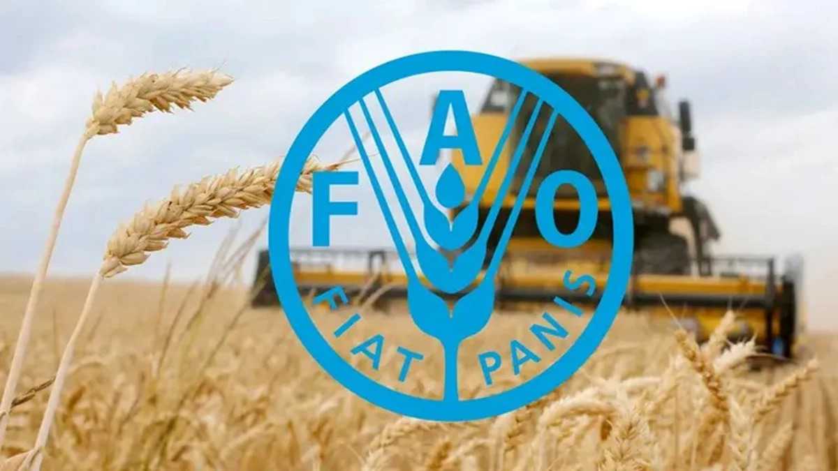Стартувала Програма підтримки виробників від Продовольчої та сільськогосподарської організації ООН (ФАО) за фінансової підтримки Європейського Союзу 